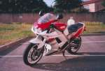 FZR